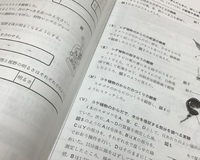 学調結果はうれしい報告がいっぱい！ 2020/01/11 15:40:46