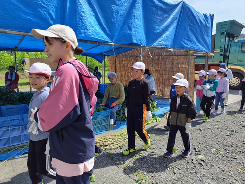 今年第１回目の桑葉収穫作業はじまる