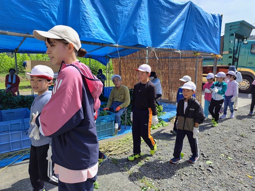 今年第１回目の桑葉収穫作業はじまる