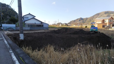休耕田を桑畑用に造成中