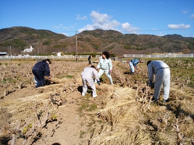 一社一村しずおか運動