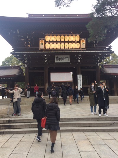 富士の麓でお茶を作り続けて１００余年 お茶の村松園 明治神宮参拝と感動のお茶