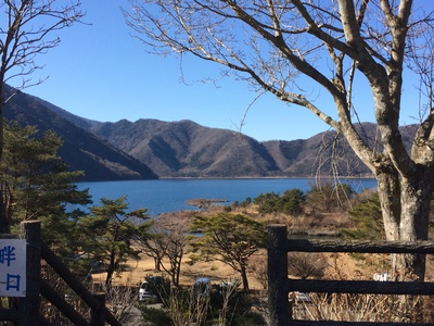 温暖化の影響が心配になります