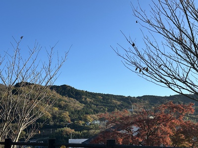 小山町紅葉　と　趣味どきっ！