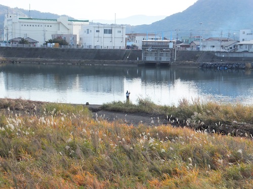 釣り人の日曜日
