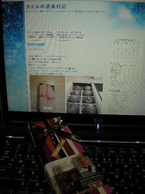 SG バレンタイン♪には…、