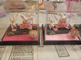 レッスン！レッスン！レッスン♪