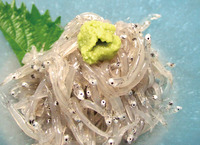 新鮮魚が楽しめるお店「いわし亭」in 富士市吉原