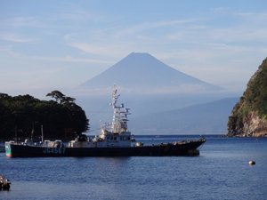 今日の富士山（戸田港）