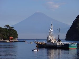 今日の富士山（戸田港）