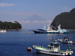 今日の富士山（戸田港）