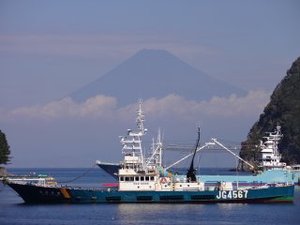 今日の富士山（戸田港）