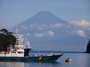 今日の富士山（戸田港）