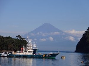 今日の富士山（戸田港）
