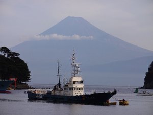 今日の富士山（戸田港）