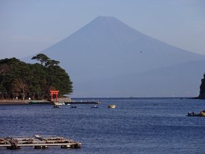 今日の富士山(戸田港）