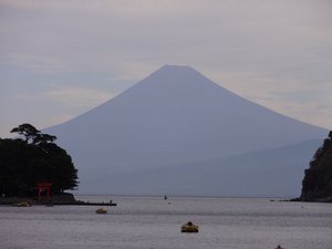 今日の富士山（戸田港）