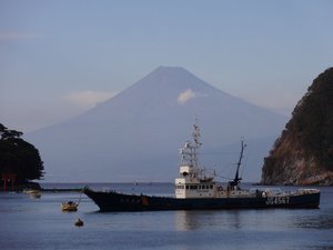 今日の富士山（戸田港）