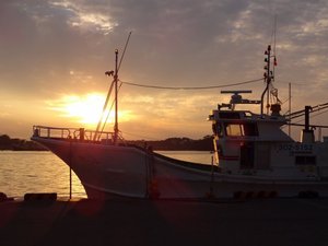 夕暮れの戸田港