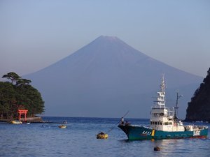 今日の富士山（戸田港）
