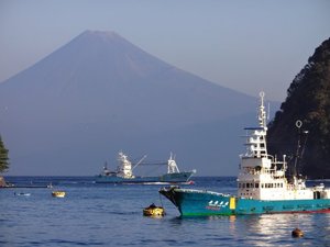 今日の富士山（戸田港）