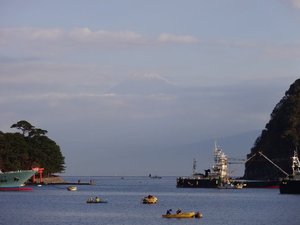 今朝の戸田湾の風景