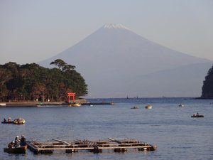 今日の富士山（戸田港）