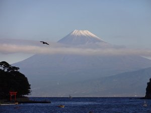 今日の富士山（戸田港）