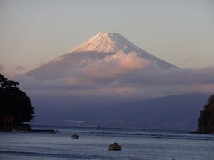 今日の富士山（戸田港）