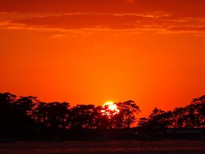 夕暮れの戸田港