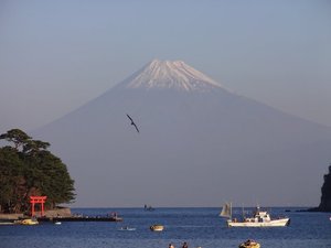 今日の富士山（戸田港）