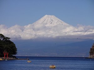 今日の富士山（戸田港）