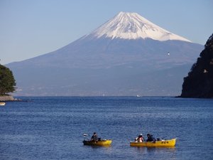 今朝の富士山（戸田港）