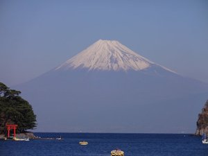 今日の富士山（戸田港）