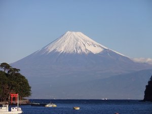 今日の富士山（戸田港）