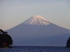 今日の富士山（戸田港）