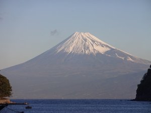 今日の富士山(戸田港）