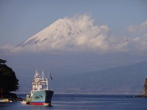 今日の富士山（戸田港）