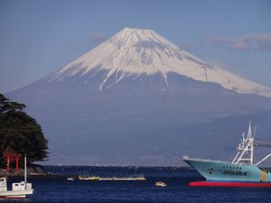 今日の富士山（西伊豆戸田港）