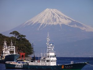 西伊豆戸田からの　今日の富士山（戸田港）