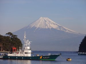 西伊豆戸田からの　今日の富士山