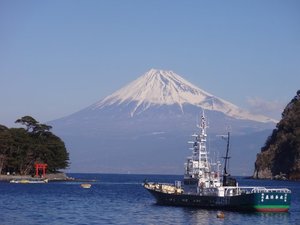 今日の富士山（戸田港）