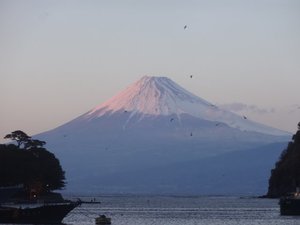 夕暮れ時の今日の富士山（戸田港）