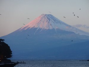 夕暮れ時の今日の富士山（戸田港）