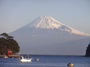今日の富士山（西伊豆戸田港）