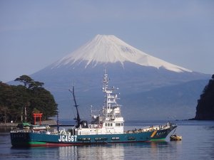 　　　　　　　西伊豆戸田港からの今日の富士山