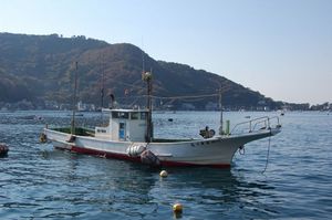 高足ガニの水揚げ（12月4日の籠網漁）