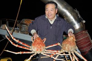 高足ガニの水揚げ