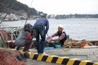 とびっきり静岡でトロール船陸揚げ見学プランが紹介されました。