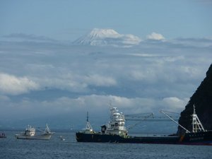 今日の富士山（戸田港より）